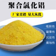 聚合氯化鋁生產(chǎn)廠家的操作使用指南